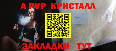 индика Можга