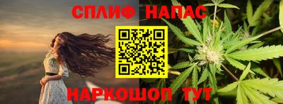 индика Можга