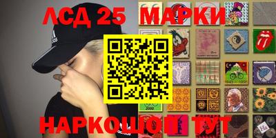 дживик Моздок