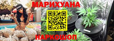 индика Можга