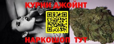 индика Можга