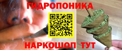 дживик Моздок