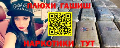 индика Можга