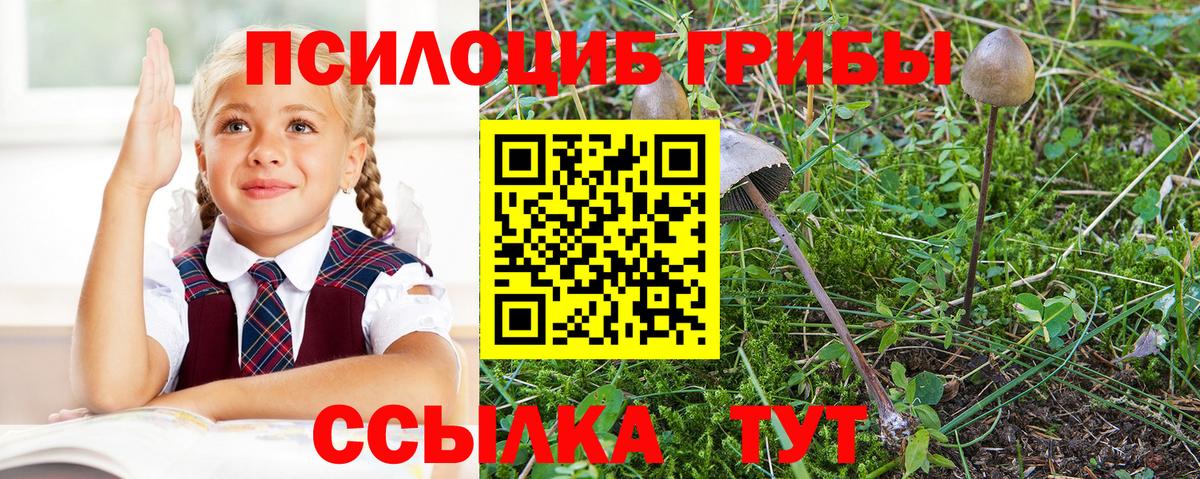 Псилоцибиновые грибы ЛСД  Галлюциногенные грибы мухоморы  Вичуга  Вход с VPN 
