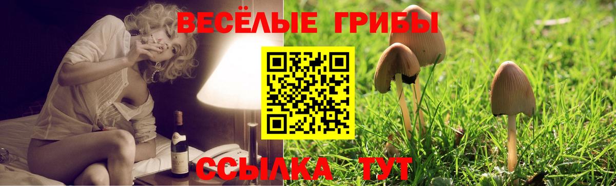 Псилоцибиновые грибы Magic Shrooms Вичуга